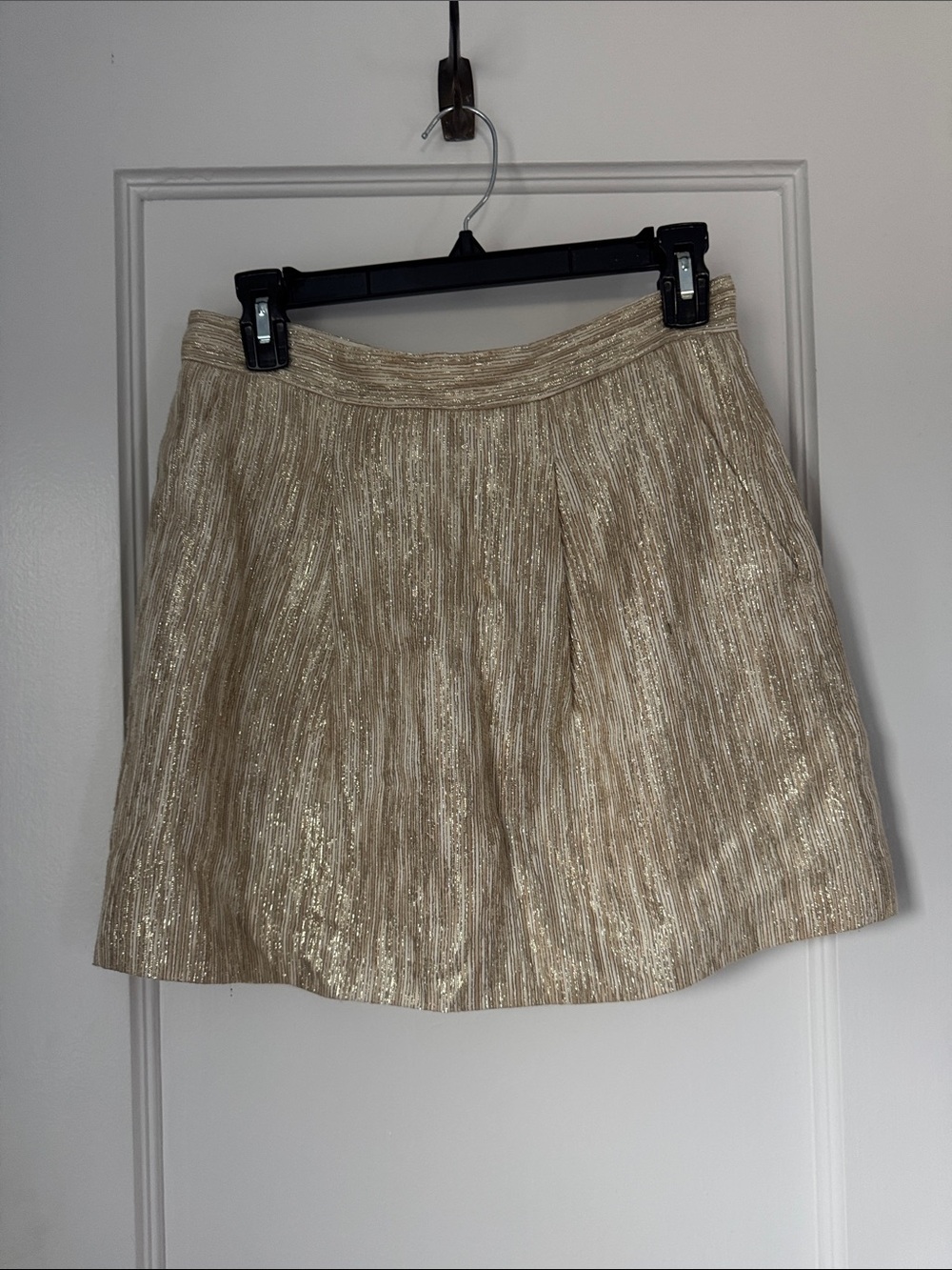 Tibi Shimmery Champagne A-Line Skirt